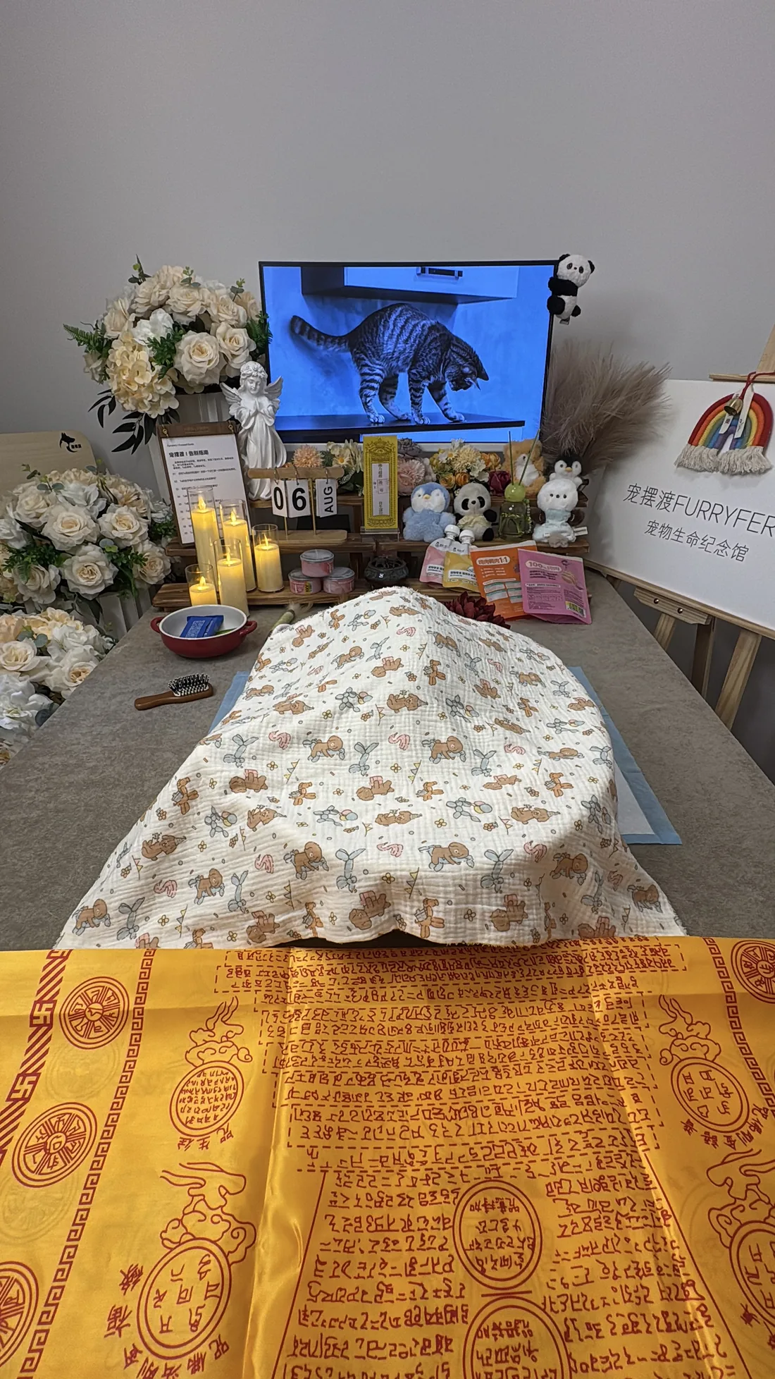 莆田宠物告别仪式中的鲜花与纪念照片